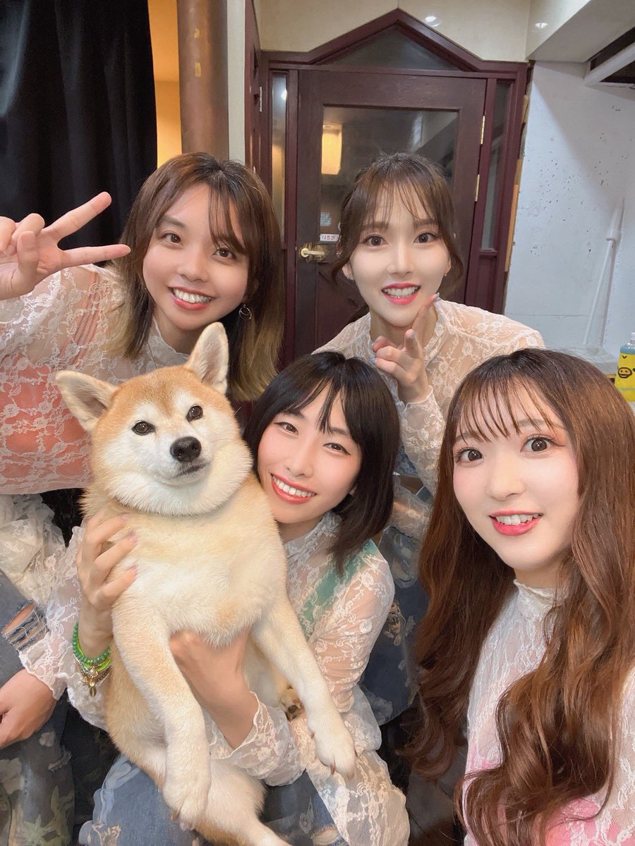 IViA_official_'s tweet photo. 本日のIViAꕤ.｡

いつもと違うLIVEイベントでしたが
素敵な時間を過ごさせていただきました！
ありがとうございました^^

あと可愛い看板犬🐕 ͗ ͗がいました🫶
だいぶ癒されました☺️

次は10/3の撮影会で会いましょう～！👘 ✨ https://t.co/NNw8KLdR14