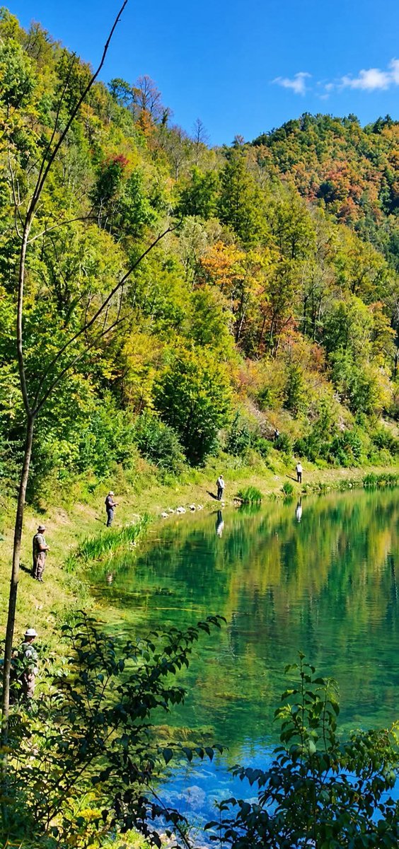 wahaot's tweet photo. 👉 The Krušnica #River is a river in the northwestern part of #Bosnia and Herzegovina. Krušnica is calm and clean, between 15-30 m wide and 5-7 m deep.

📸Mersud Sefic https://t.co/HXZJq7LLBt