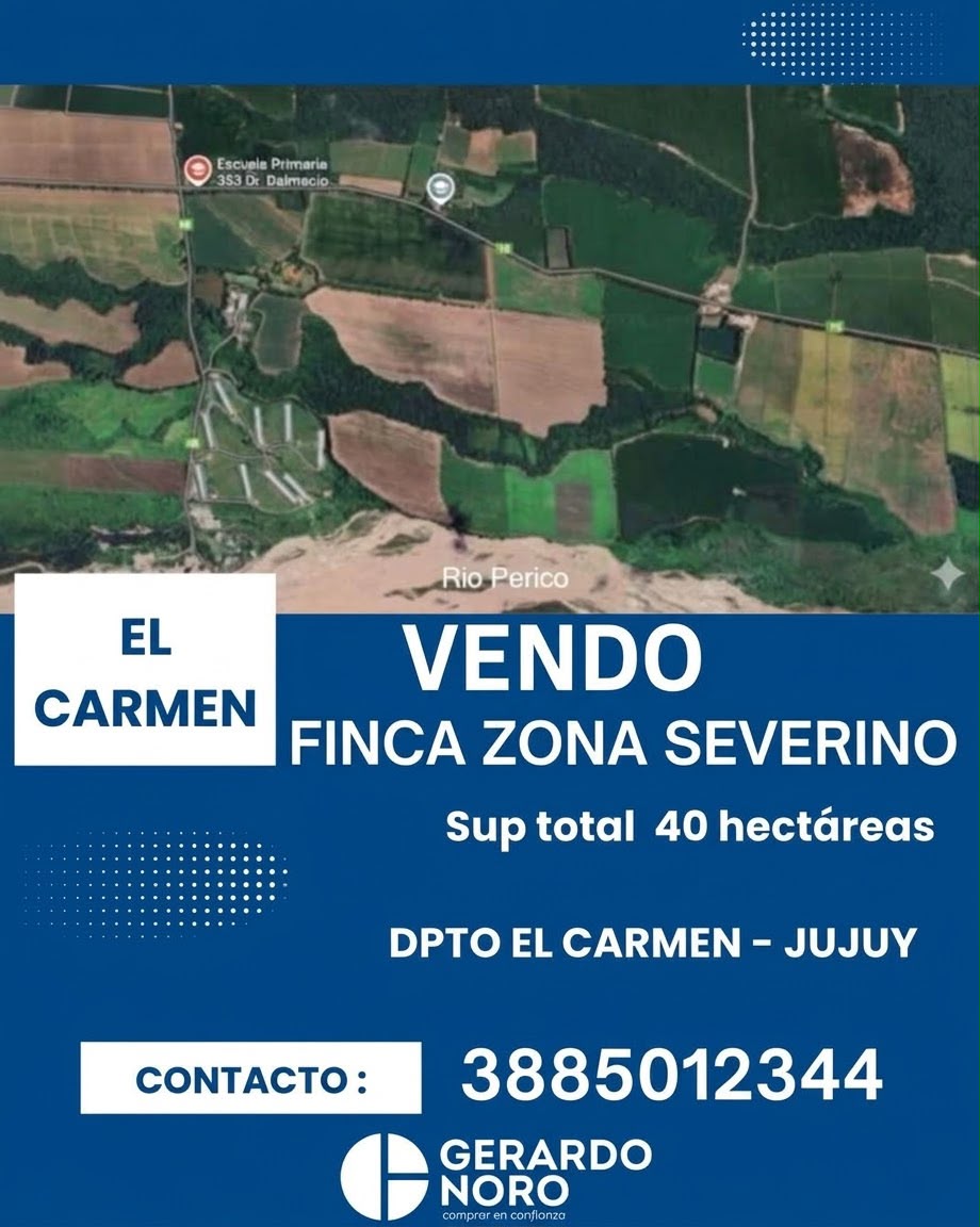GerardoNoro's tweet photo. ¡OPORTUNIDAD : FINCA DE 40 HAS EN SEVERINO, EL CARMEN!
 
Ubicada en una excelente zona productiva en la provincia de Jujuy

Superficie total: 40 hectáreas con escritura inmediata y papeles al día. https://t.co/B37RzcIUMb