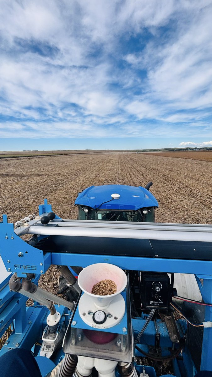 WheatInnovation's tweet photo. Day 3 planting at DLRF, Pierre was the best of this season. Thank you #TeamWheat for the all hard work. 🙏👏Another 1,200 plots in excellent moisture in pea residue in less than 6 hours. #PYT #RPNs
#GrowWinterWheat #NoTillWorks ❤️🌾 @wheatsd @SDState https://t.co/tNT13sXQ9r