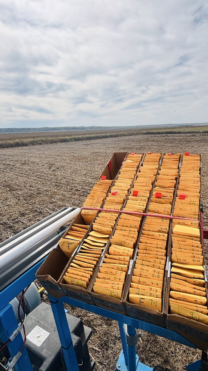 WheatInnovation's tweet photo. Day 3 planting at DLRF, Pierre was the best of this season. Thank you #TeamWheat for the all hard work. 🙏👏Another 1,200 plots in excellent moisture in pea residue in less than 6 hours. #PYT #RPNs
#GrowWinterWheat #NoTillWorks ❤️🌾 @wheatsd @SDState https://t.co/tNT13sXQ9r