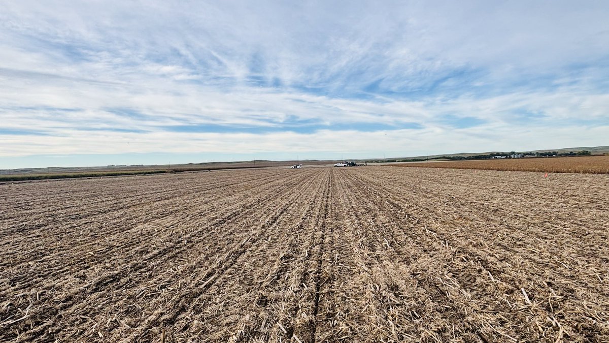WheatInnovation's tweet photo. Day 3 planting at DLRF, Pierre was the best of this season. Thank you #TeamWheat for the all hard work. 🙏👏Another 1,200 plots in excellent moisture in pea residue in less than 6 hours. #PYT #RPNs
#GrowWinterWheat #NoTillWorks ❤️🌾 @wheatsd @SDState https://t.co/tNT13sXQ9r