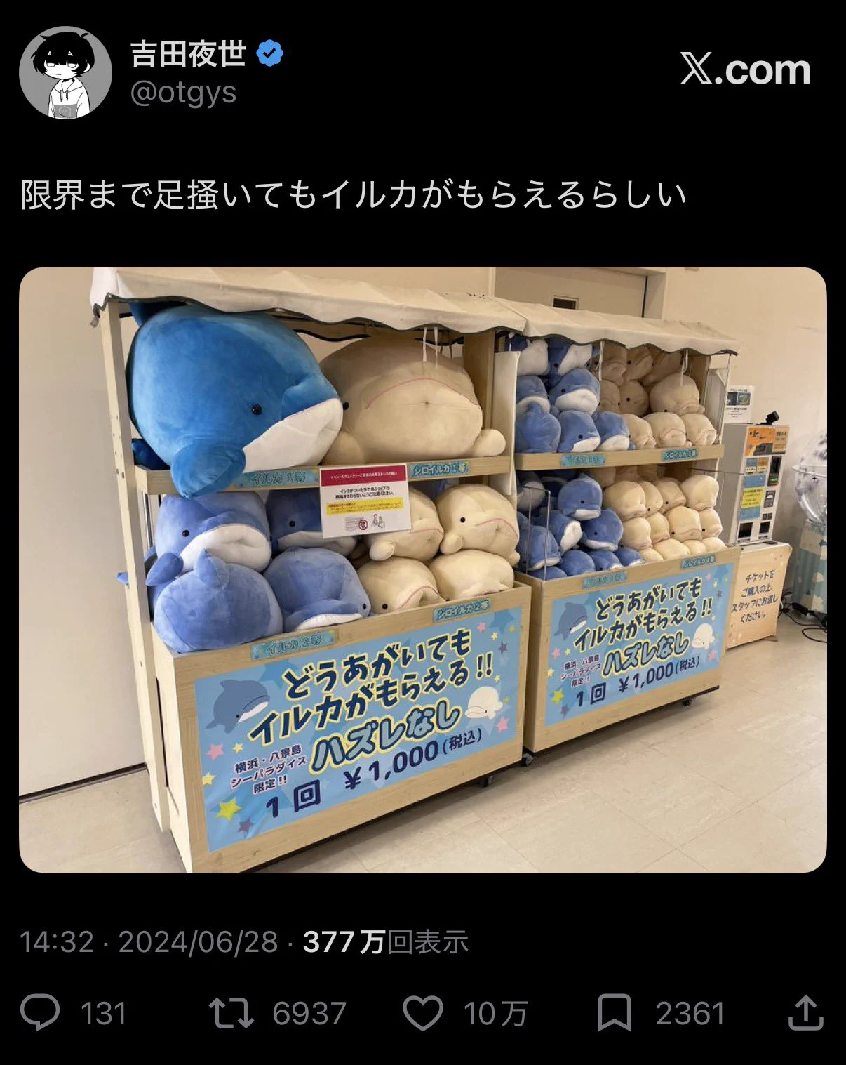 アサキ ぼくはバカだよ。サイン入りCD 吉田夜世 on X: 