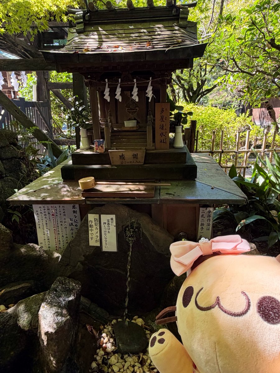 31Tomoka31's tweet photo. 大宮八幡宮⛩️には多摩清水乃社（たましみずのやしろ）と言う湧き水がある🌟
とってもやわらかくてまろやか😋

#ぬい撮り
#ぬい
#こんこんきちゅね
#大宮八幡宮
#東京のへそ
#多摩清水乃社 https://t.co/a3cKTCIUKr