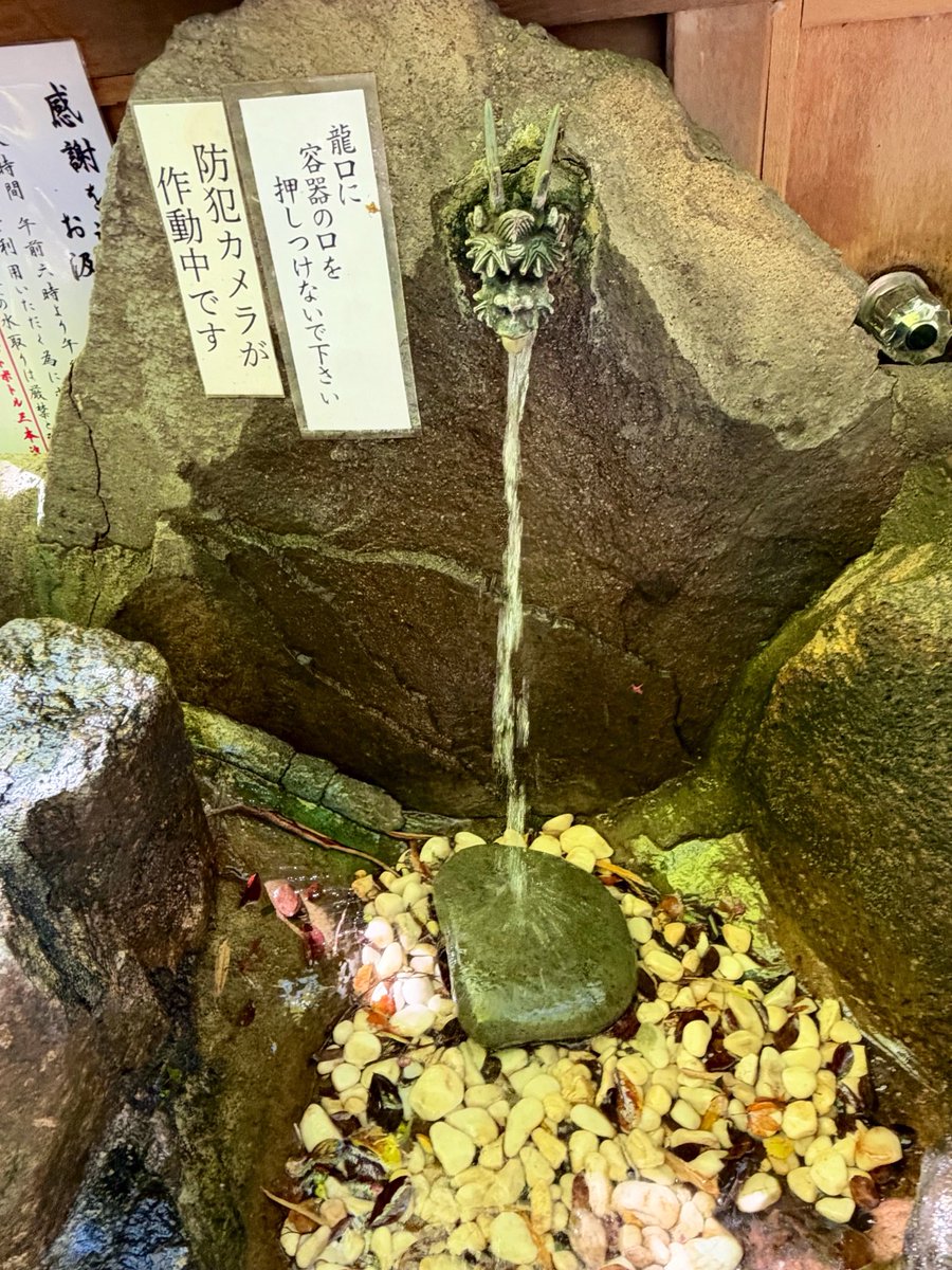 31Tomoka31's tweet photo. 大宮八幡宮⛩️には多摩清水乃社（たましみずのやしろ）と言う湧き水がある🌟
とってもやわらかくてまろやか😋

#ぬい撮り
#ぬい
#こんこんきちゅね
#大宮八幡宮
#東京のへそ
#多摩清水乃社 https://t.co/a3cKTCIUKr