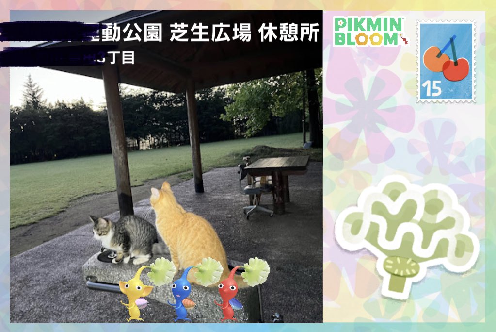 yu_ya4star's tweet photo. あと、これはたまたまぴくみんでげとできた世界で1番かわいいポストかーど(*´˘`*)♡
もろに地元の場所の名前入ってるのでそこだけ伏せたけど最高にかわいい(*´˘`*)♡嬉しい(*´˘`*)♡誰にもあげられない(*´˘`*)♡ https://t.co/NnpdmuhfMm