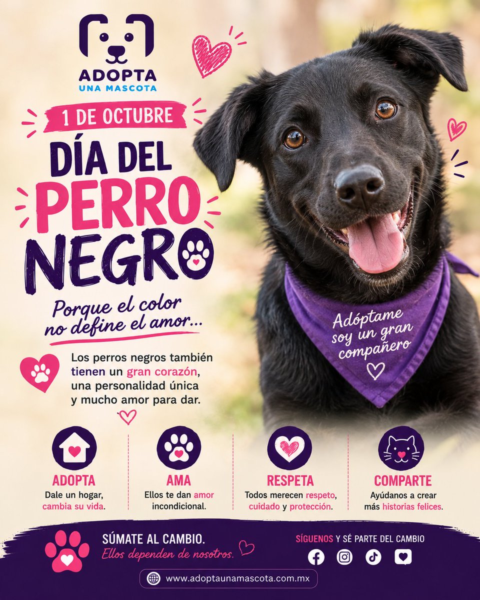 mascotamx's tweet photo. #Diadelperronegro https://t.co/4Did4HLRLT