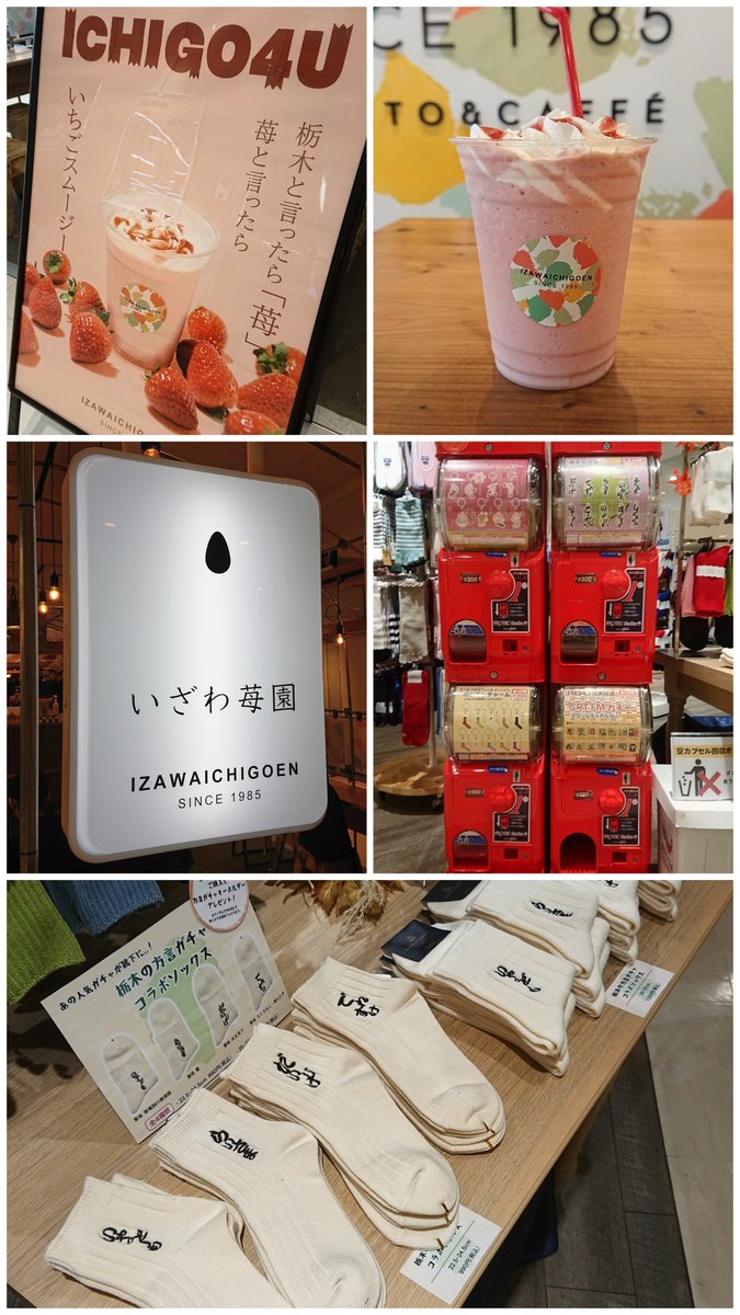 syaokichi1's tweet photo. お疲れ様です！
先日🏀観戦と共に美味しい食べ物探訪しました☺️
栃木県産梨のタルト､ずっと行ってみたかった高林堂和菓子研究所様へ😌
本当のわらび餅を頂けて良い人生経験になりました…！
わらびから少ししか獲れない本わらび粉を注文を受けてから作ってくださいます https://t.co/lcmi2ZCftK