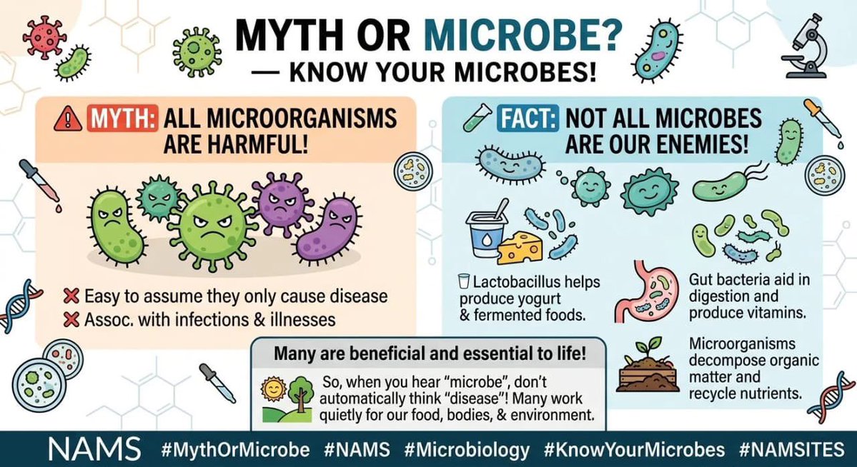 _NAMSOAU's tweet photo. Myth: All microorganisms cause disease ❌
Fact: Many are essential to life! ✅
Microbes help produce fermented foods, aid digestion, and decompose organic matter. Don't fear them all!
#MythOrMicrobe #Microbiology #KnowYourMicrobes https://t.co/MFWyX3MGTM