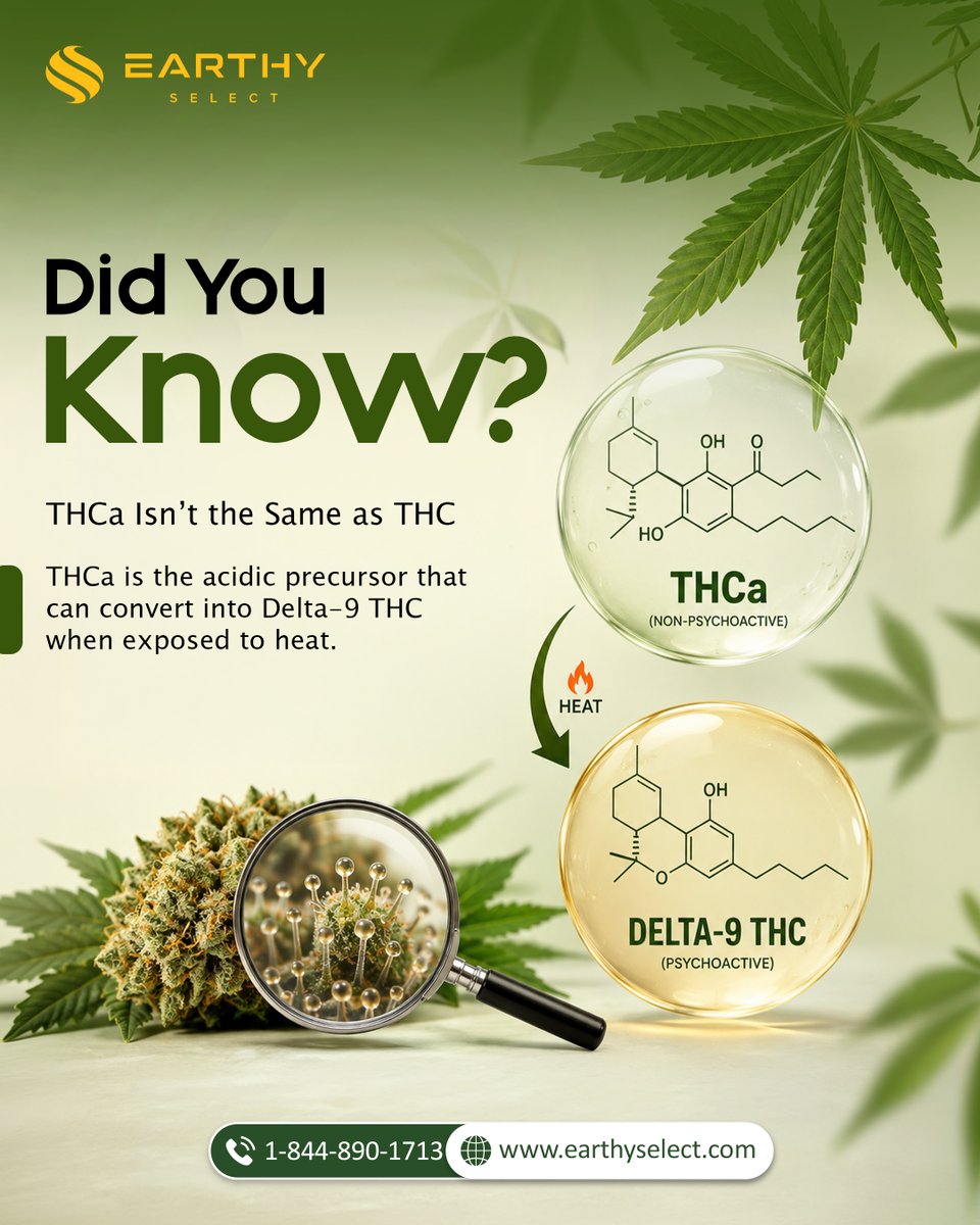EarthySelect's tweet photo. Same plant. Different chemistry.
Here’s a cannabis chemistry fact that often gets overlooked. THCa and Delta-9 THC are closely related, but they are not exactly the same compound. 

#THCa #Delta9THC #CannabisChemistry #Decarboxylation #Cannabinoids #CannabisEducation https://t.co/X3MEEqoKN5