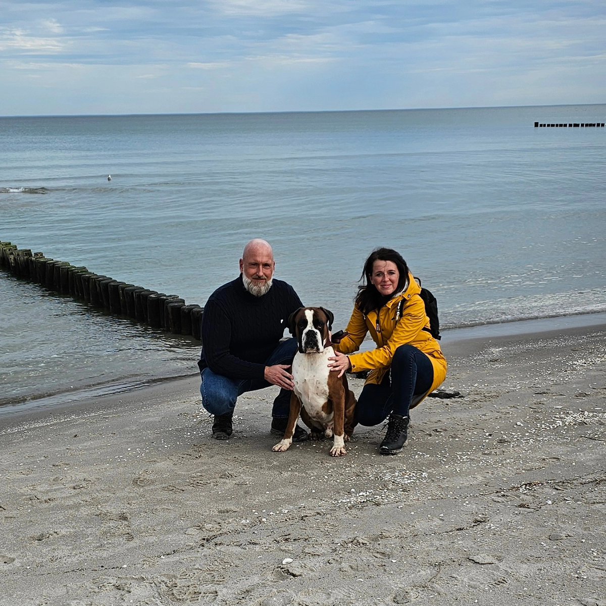 Katherineasso58's tweet photo. #zingst #mecklenburgvorpommern #ostsee #betogether #travel #travelwithdog #travelwithlove #deutschland #germanyexplorer #wanderlust #wandern #wandermithund https://t.co/JRjo3029eP