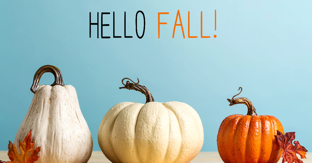 KJWatersAuthor's tweet photo. Pumpkins, gourds, and squash! Oh, my!

I love autumn.

#fall #autumn #ILoveFall #pumpkins https://t.co/jxloiiyHPe