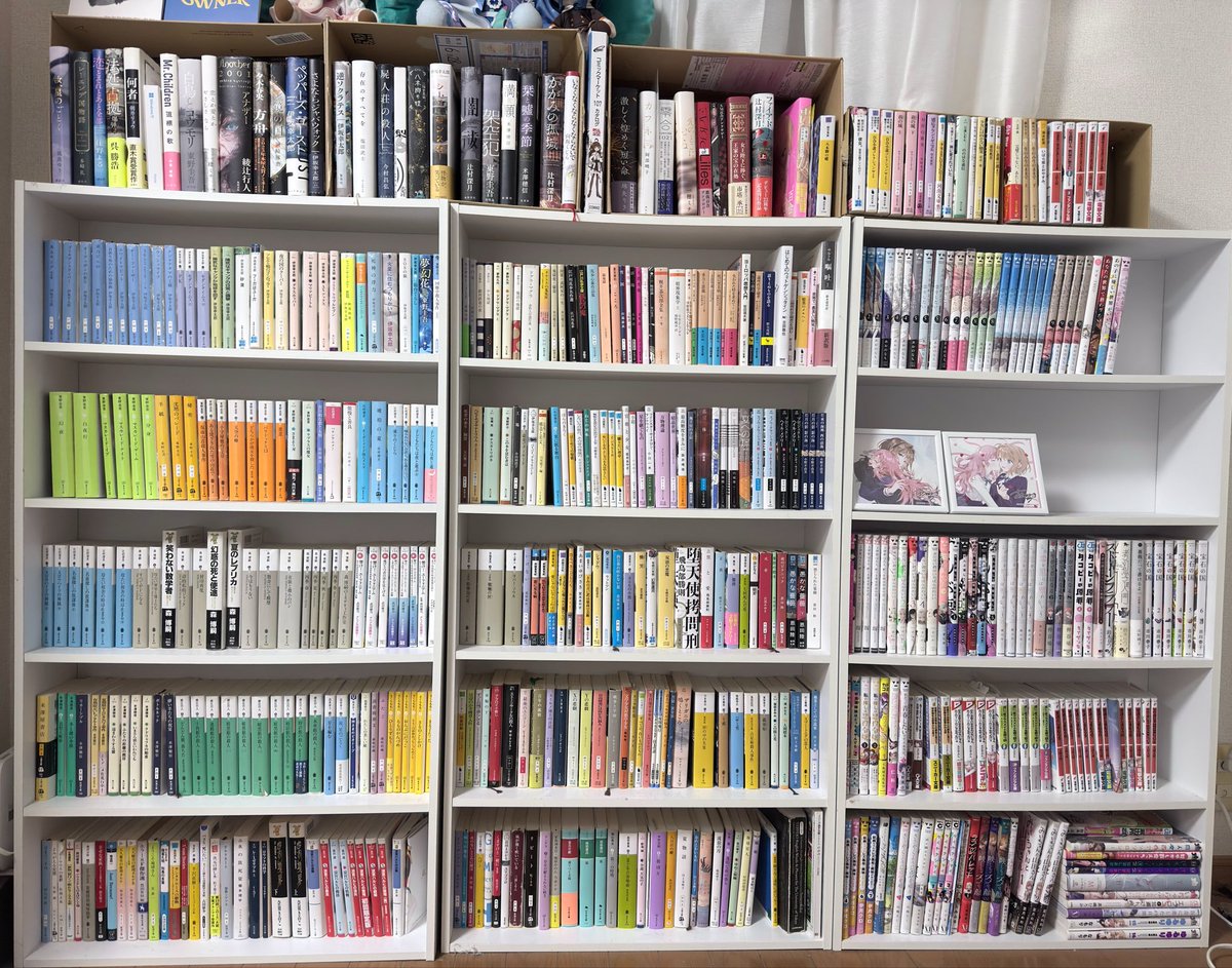 2k_8d's tweet photo. 2年ぶりにやってみた！
ずいぶん量が増えました
#本棚晒す
#本棚紹介 https://t.co/4Ohte9x5g0