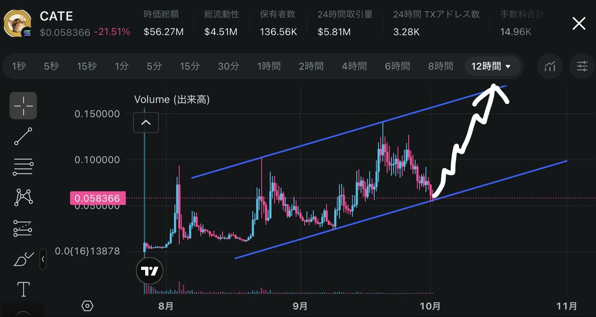 kill_the_money's tweet photo. This has to be the bottom.

$CATE is right back at the lower trendline of the ascending channel.

This is where the next move begins. 🐈‍⬛🚀 https://t.co/P4qbvhblDM