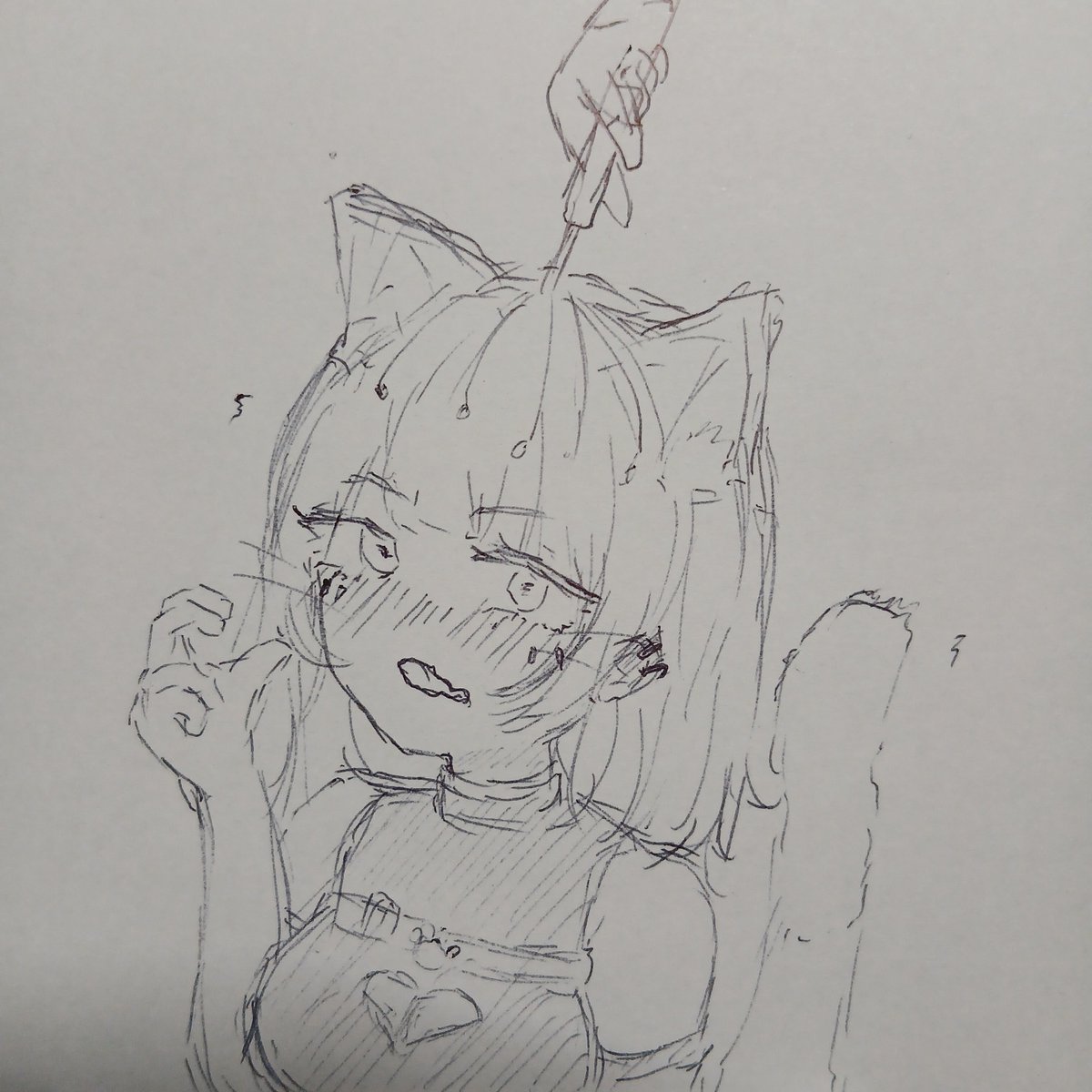 wpineapplew4649's tweet photo. https://t.co/3DxIQsopNN