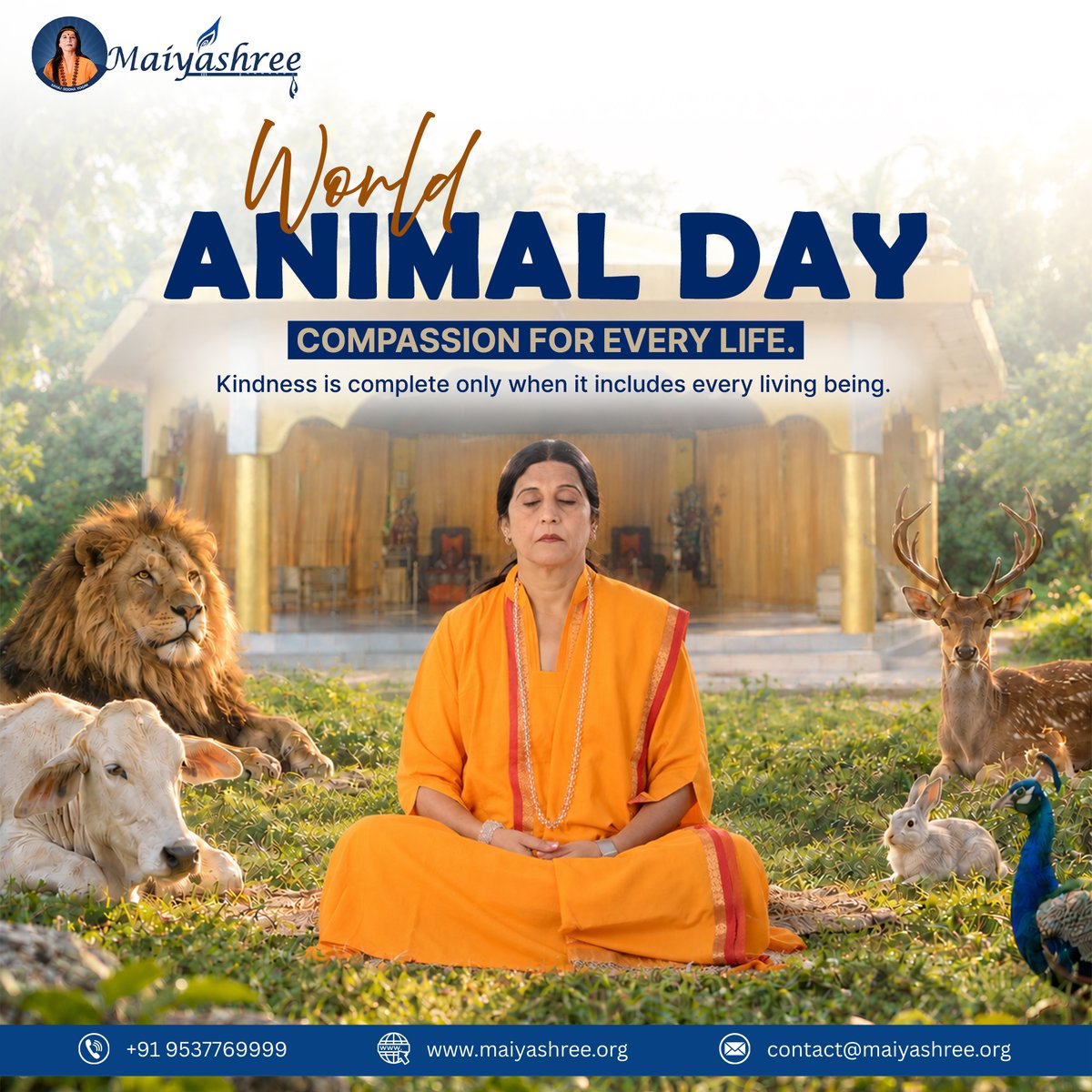 maiyaofficial_'s tweet photo. Compassion has no boundaries. Every life deserves kindness and care.
#WorldAnimalDay #CompassionForAll #KindnessMatters #AnimalRights #LoveWithoutBorders #CareForCreatures #Maiyashree https://t.co/ZslsJp3sR8