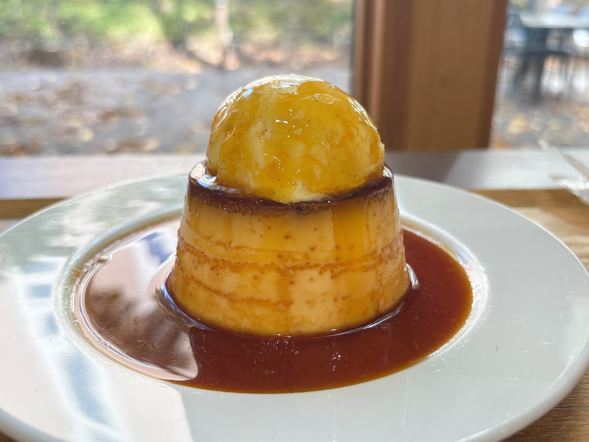tz_pudding's tweet photo. 北大で推しを推しつつのっけプリン
うまし

#たつきちぐるまん https://t.co/8kSRwhZFBS