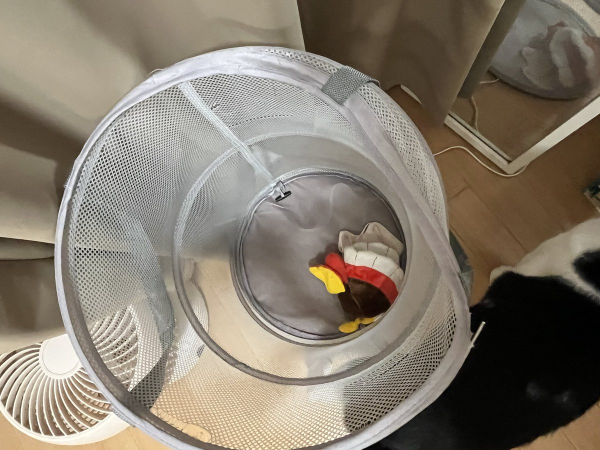 imairuka__'s tweet photo. この前飾った鳥のぬいぐるみが、猫の仕業でランドリーネットに入ってたんだけどどうやって入れたんだ？あとこの鳥だけいつも狙われる https://t.co/Sv1cSBmW3f