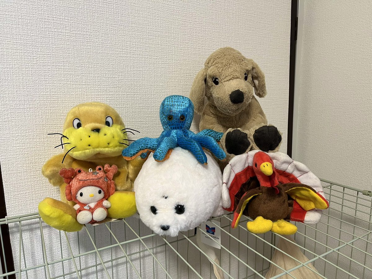 imairuka__'s tweet photo. この前飾った鳥のぬいぐるみが、猫の仕業でランドリーネットに入ってたんだけどどうやって入れたんだ？あとこの鳥だけいつも狙われる https://t.co/Sv1cSBmW3f