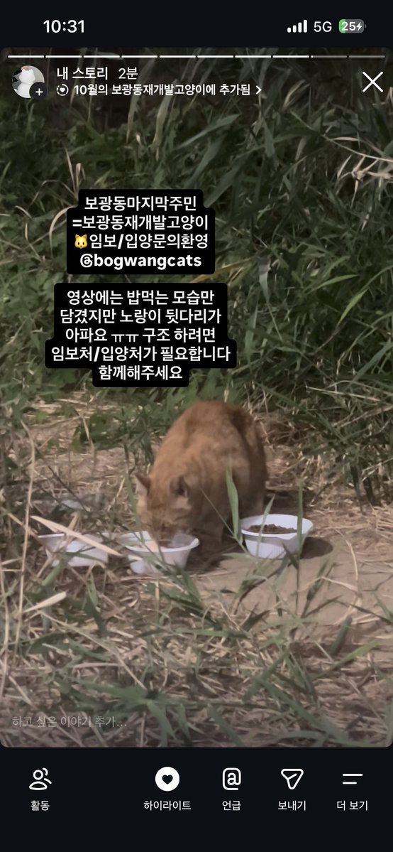 sosweet_hosu's tweet photo. (Rt부탁) 🐱한강 슈퍼스타 노랑이🐱가 많이아파요 ㅠ 뒷다리를 절뚝이는데 오늘만났는데저번보다 더 아파보였어요 구조할수있도록 임보/입양으로 함께해주세요. @bogwangcats 보광동고양이계정 상단프로필링크에서 임보/입양신청가능! https://t.co/HZ8vG76Ecm