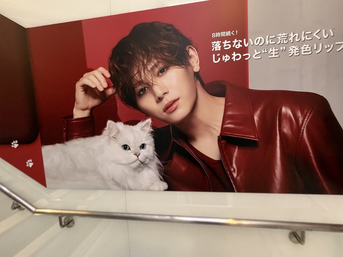 YukaRY0509's tweet photo. 写真テキトーでセンスZERO🤣
運良くトラックも遭遇したけど撮影できず
ま、見れたからいっか
ほら共演だから(猫を自分と思ってる変な人)
🐱チャーム可愛い♥️刻印も嬉しい♥️
おぱんちゅ、んぽちゃむも見つけてつい
オタクでダンサーでジュエリー好き
節約なんてできるわけないでしょ(諦め) https://t.co/R3Njm3Juvc