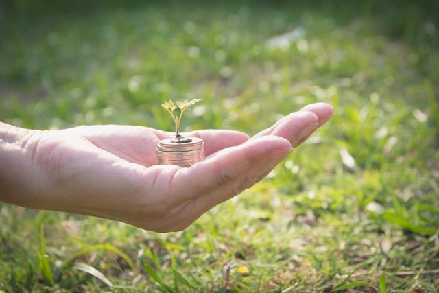 chane_gobe376's tweet photo. [I ventured far, but lost my way, then found a tiny broken seed waiting to be nurtured.]， https://t.co/kmolzKw1Sk