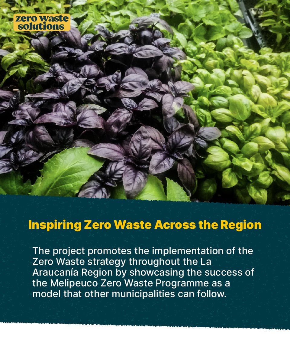 GAIAnoburn's tweet photo. In La Araucanía, Chile, Red de Acción por los Derechos de la Naturaleza has been advancing the zero waste strategy through the experience of Melipeuco, sharing experiences and tools to reduce waste and move towards communities that generate less waste.

#BreakFreeFromPlastic #GoForZeroWaste