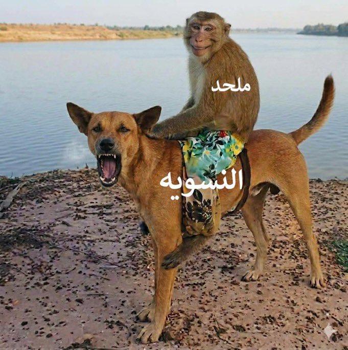 owiwuh's tweet photo. @_5eb3 اصدق صوره شفتها اليوم https://t.co/mEJ5RrxzL3