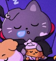 Wndyyyy27's tweet photo. @ENHYPEN Jjong's little potatoe in Noxie's warm embrace🤏🏻😽💗 https://t.co/bWhKQppfXe