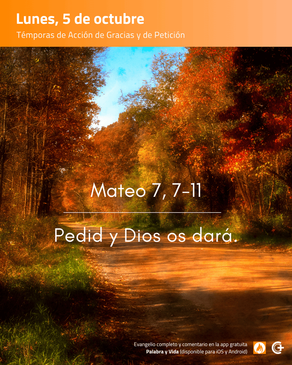 editorialPCL's tweet photo. 👐 Siempre de la mano de un Dios que no nos deja solos. Por eso le damos gracias por lo "cosechado" y le encomendamos lo que emprendemos, gozosos por su compañía y su misteriosa providencia (Severiano Blanco).

#EvangelioDelDía #EvangelioDeHoy #PalabrayVida https://t.co/1pkJlcwnSe