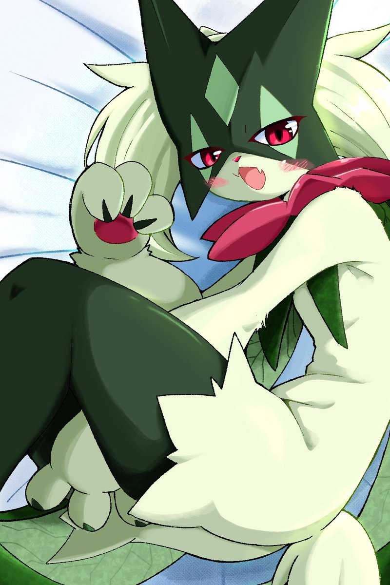 souno026's tweet photo. くつろぎマスカーニャ
#Meowscarada #pokemonfanart https://t.co/HvEm2PUfgD