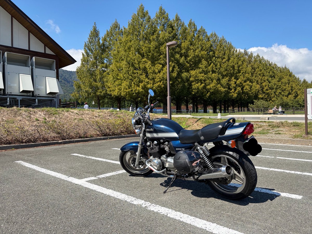 momochan_billy's tweet photo. 琵琶湖ツーリング🏍️
メタセコイヤ並木🌲🌲
彼岸花群生地「桂浜園地」
楽しみました
#ゼファー750 #メタセコイヤ並木 #彼岸花 #琵琶湖 https://t.co/D9Ns7m4wAR