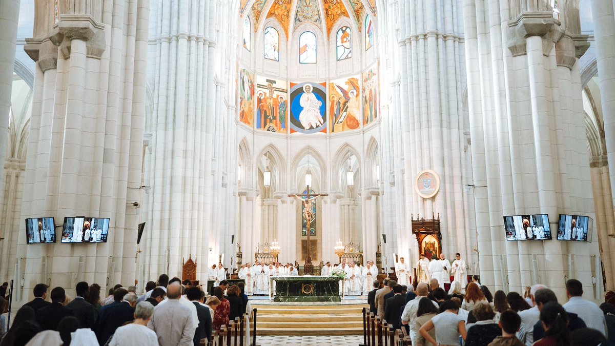 UniSanDamaso's tweet photo. 🔵Arranca el curso en la @UniSanDamaso: Eucaristía en la catedral de la Almudena y Acto Académico presididos por el @CardenalCobo.
Más de 2.000 matrículas y una imagen guía: el árbol, raíces, tronco y ramas.
¡Bienvenidos al curso 2026-2027!
#UniSanDámaso #InicioDeCurso https://t.co/zCq3Ym4axs