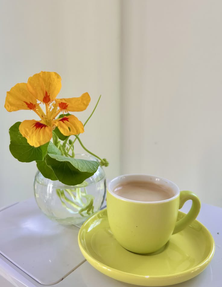 Paysages_lands's tweet photo. Coffee ☕🌻 https://t.co/vfPnUPO2Md