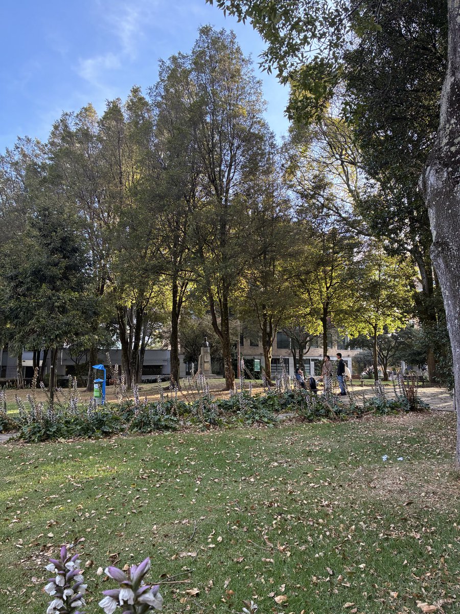 MafeSantoyo's tweet photo. Romantizar Bogotá todas las mañanas caminado al trabajo es mi #MorningRush https://t.co/xr5VxNJlz0