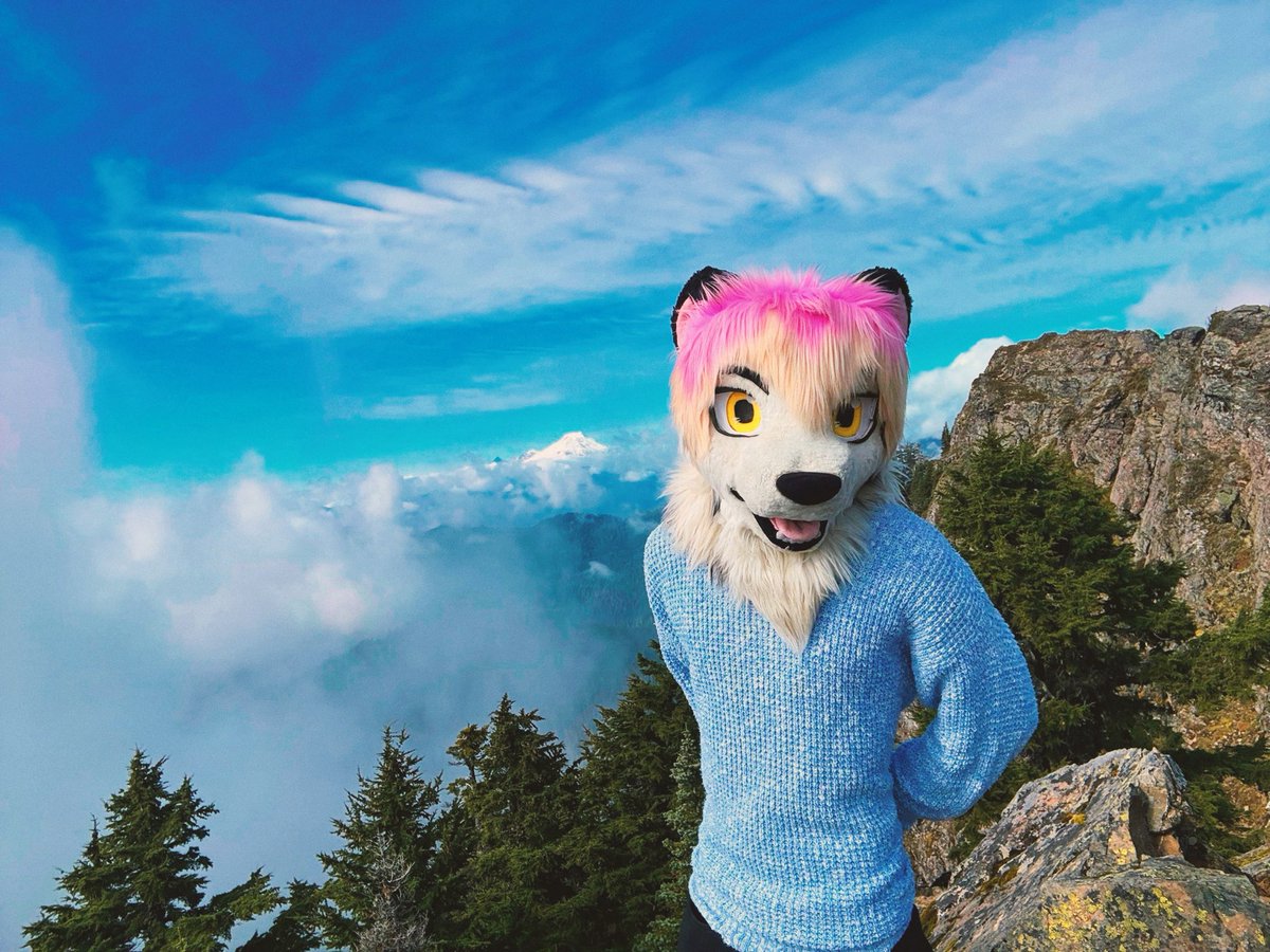 sundownmeow's tweet photo. Get yo head outta the clouds! https://t.co/uI71eK4yG0