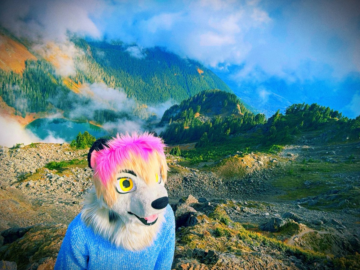 sundownmeow's tweet photo. Get yo head outta the clouds! https://t.co/uI71eK4yG0