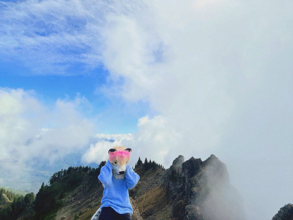 sundownmeow's tweet photo. Get yo head outta the clouds! https://t.co/uI71eK4yG0