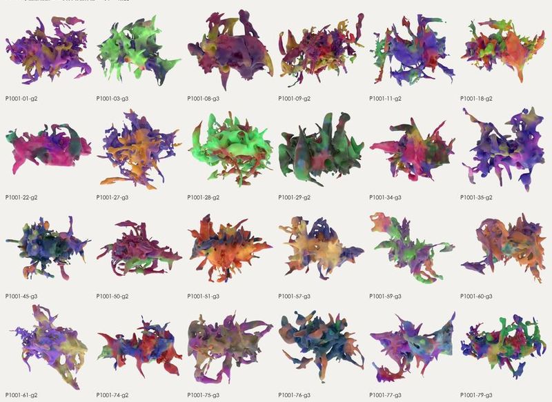 KalmanPool's tweet photo. 97 routes into AI sculpture; 37 dead ends. My latest Autogenesis notes ask: when does a model create new bodily organization, and when does it just complete a template?https://t.co/G1gClrovTn #AIart️️️️️️️️️️️️️️️️️️️️️️️️️️️️️️️️️️️️️️️️ https://t.co/aABmhDjPth