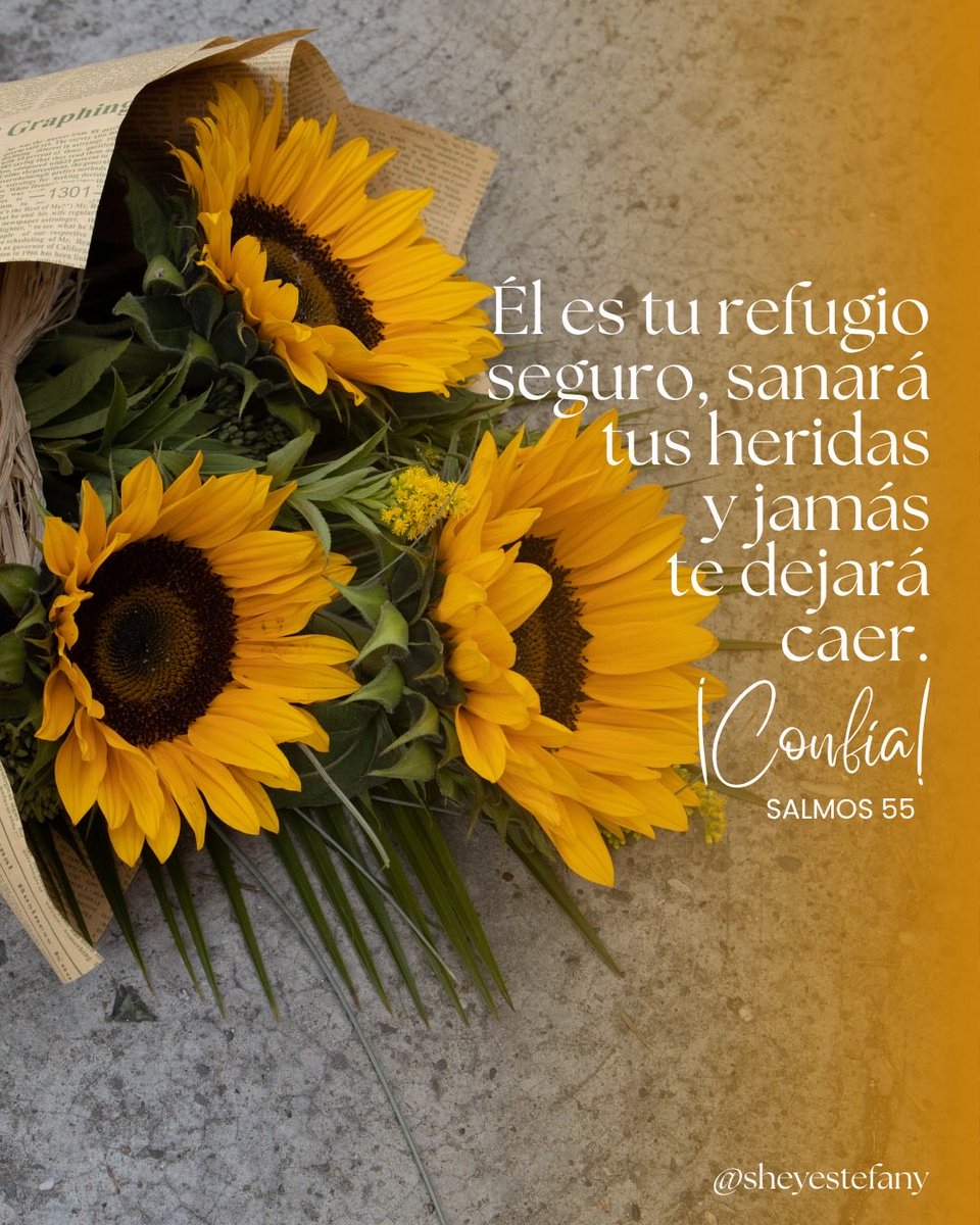 SheyEstefany's tweet photo. 📚 Salmos 55

💆‍♀️ ¿Sientes que la ansiedad o los problemas te superan y solo quieres salir corriendo? 
¡Detente y respira! No lleva esa caga tú solo. 

#refugio #paz #tormenta #ansiedad #fequesana https://t.co/G7jEU0Rwk7