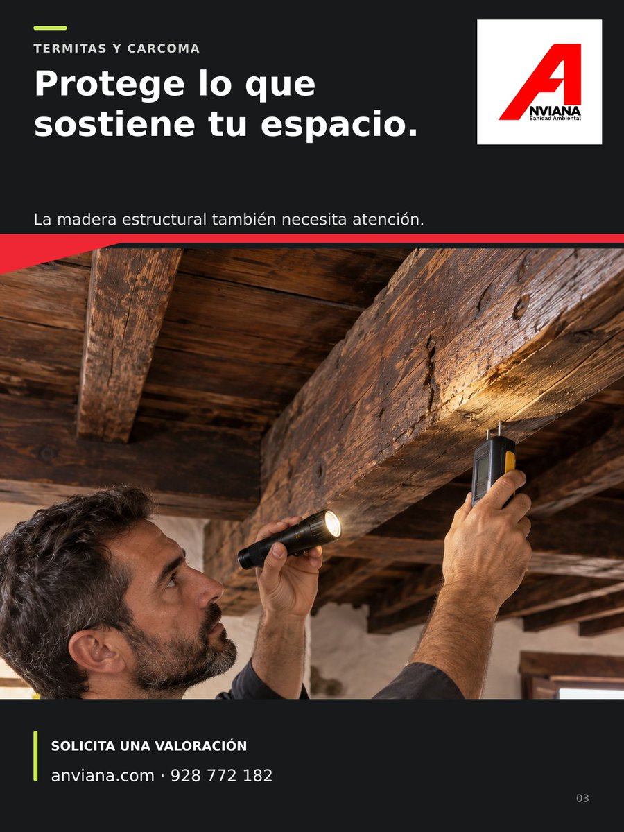 AnvianaSL's tweet photo. Los elementos de madera cuentan historias. 🪵 Anviana protege tu madera de xilófagos. ¿Ves orificios? ¡Consúltanos! 

🌐 https://t.co/brUEHqPAtq ☎️ 928 772 182 📍 Gran Canaria 

#Anviana #TratamientoDeMadera #Termitas #Carcoma #Patrimonio #GranCanaria https://t.co/C9sydC5AoD