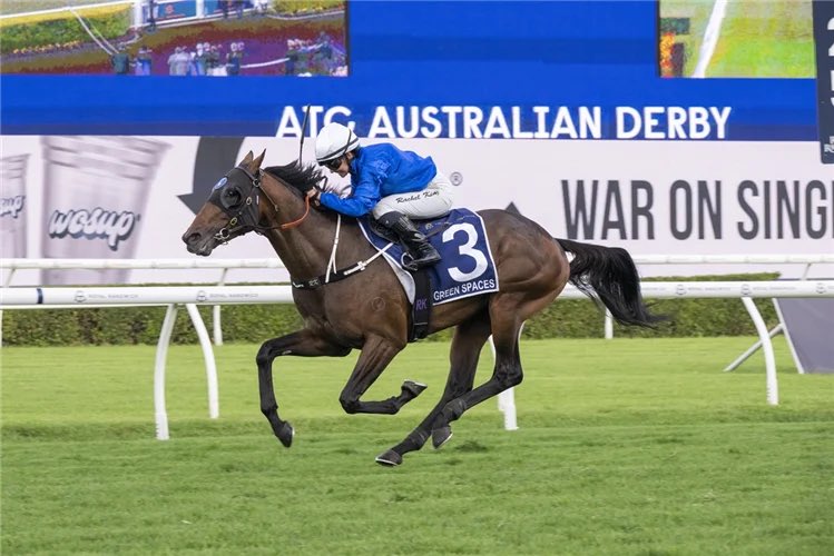 Luckybarrier's tweet photo. 🚨GREEN SPACES  RACE 7 RANDWICK🚨

I’m giving GREEN SPACES a serious chance here. 👀

It’s the EXACT same prep that built him up to the 2400m last time, the same distance where he produced that huge win.

Barrier 9 is a really good draw for him too, giving him options without being stuck down on the inside.

The recent runs haven’t been his best, but I’m willing to forgive them. Back up to 2400m, with the proven prep and a good draw, I think he can bounce back and be right in the finish.

Definitely one I want on my side. 🏇🔥