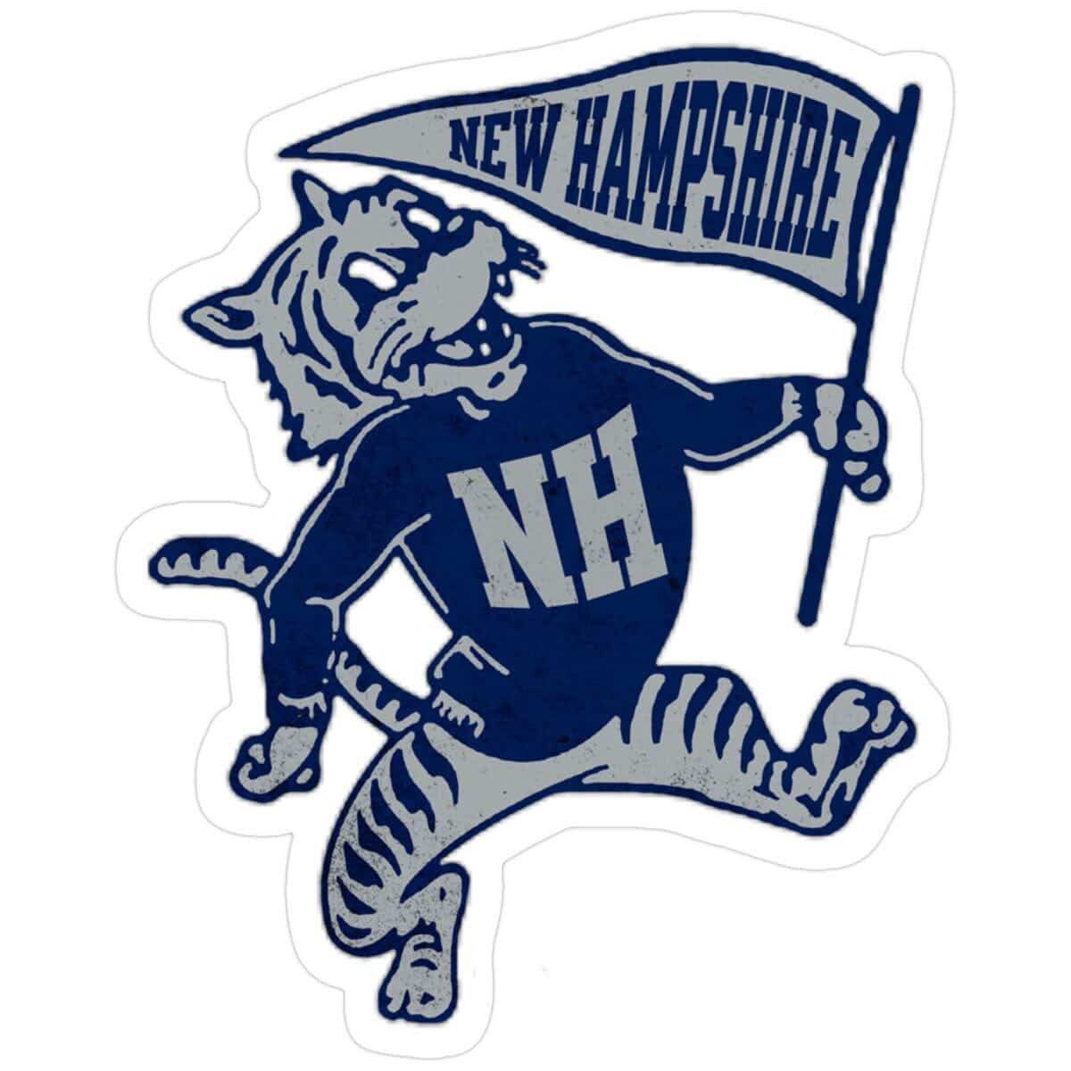 nicholasmauro9's tweet photo. Beyond blessed to receive an offer from the University of New Hampshire! 
@coachtfogg @UNH_Football https://t.co/kl3qTXZAJB