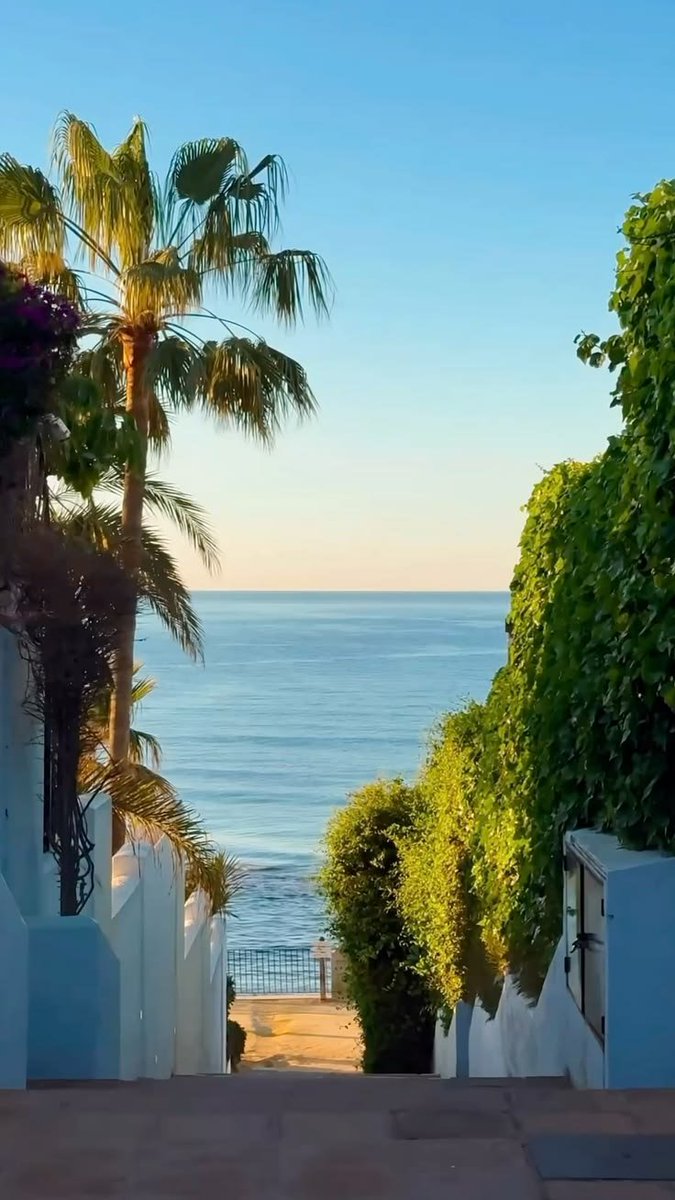 onllycutestuff's tweet photo. Marbella,  Spain https://t.co/nKhYqVuXYy
