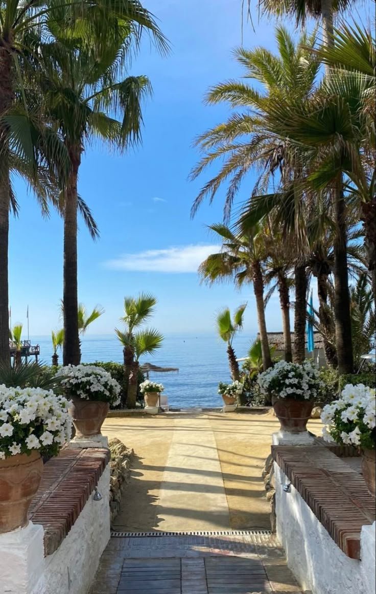 onllycutestuff's tweet photo. Marbella,  Spain https://t.co/nKhYqVuXYy