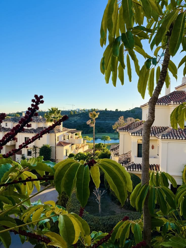 onllycutestuff's tweet photo. Marbella,  Spain https://t.co/nKhYqVuXYy