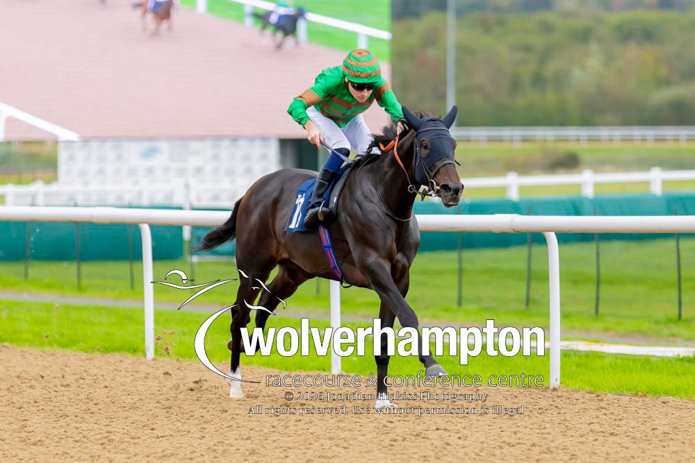 WolvesRaces's tweet photo. 29.09.26    Race 1 - The Hotel &amp; Conferencing at Wolverhampton.

Winner-  Rajendra
Trainer - David Simcock
Jockey -Callum Shepherd
Owner - Chola Dynasty

All images taken by - Jonathan Hipkiss https://t.co/0mTLm2XMJ9