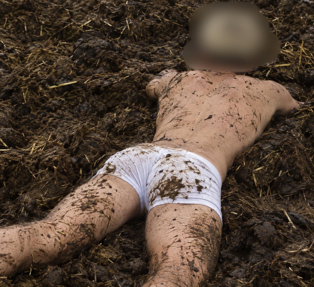 Gianluca_Pig's tweet photo. Yesterday was so #fucking #kinky and #dirty  in the #farm of my #pervert #master . It was heaven inside a #huge amount of #cow and #horse #scat , #eating it and rolling on that   #gayzoo #animal #sub #boy #slut #gay #gayworld #slave #alpha #faggot #nomercy #shit #boots #fetish https://t.co/X0NkkexA56