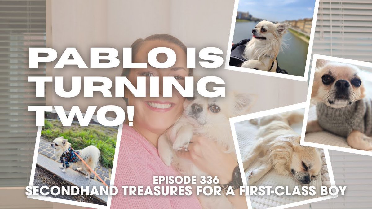 SarahDMears's tweet photo. Drop a happy birthday wish for Pablo in the comments below! 🐾 Do you spoil your pets on their birthdays, and have you ever found great pet gear at the thrift store?
.
https://t.co/ocHW3flLLZ
.
#HandmadeWithLove #DogRaincoat #SpoiledPup #SlowLivingWithDogs #AutumnWalks 💬 ♡ https://t.co/CySFFyPdkG