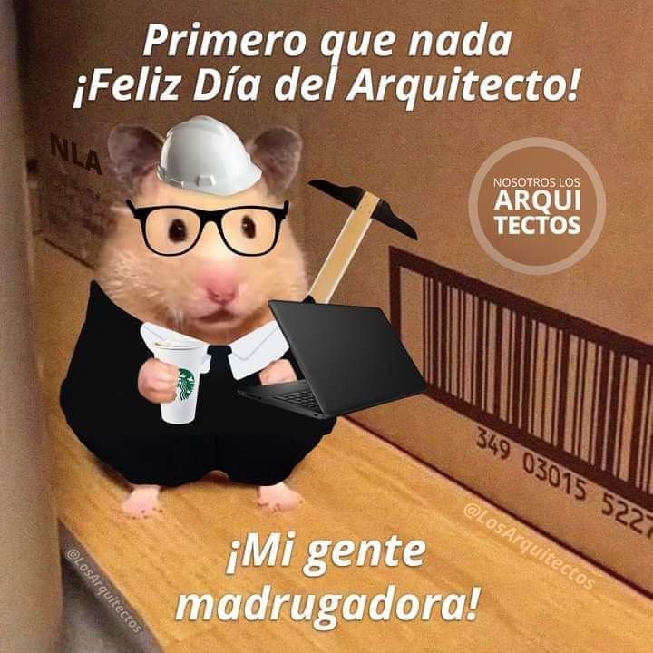 SONIKAA26's tweet photo. Felicidades en su día a todos los Arquis de mi honorable timeline! 

Pero, sobre todo, a los Arquis de mi hogarss. ❤️ https://t.co/yFYCe8AAyK